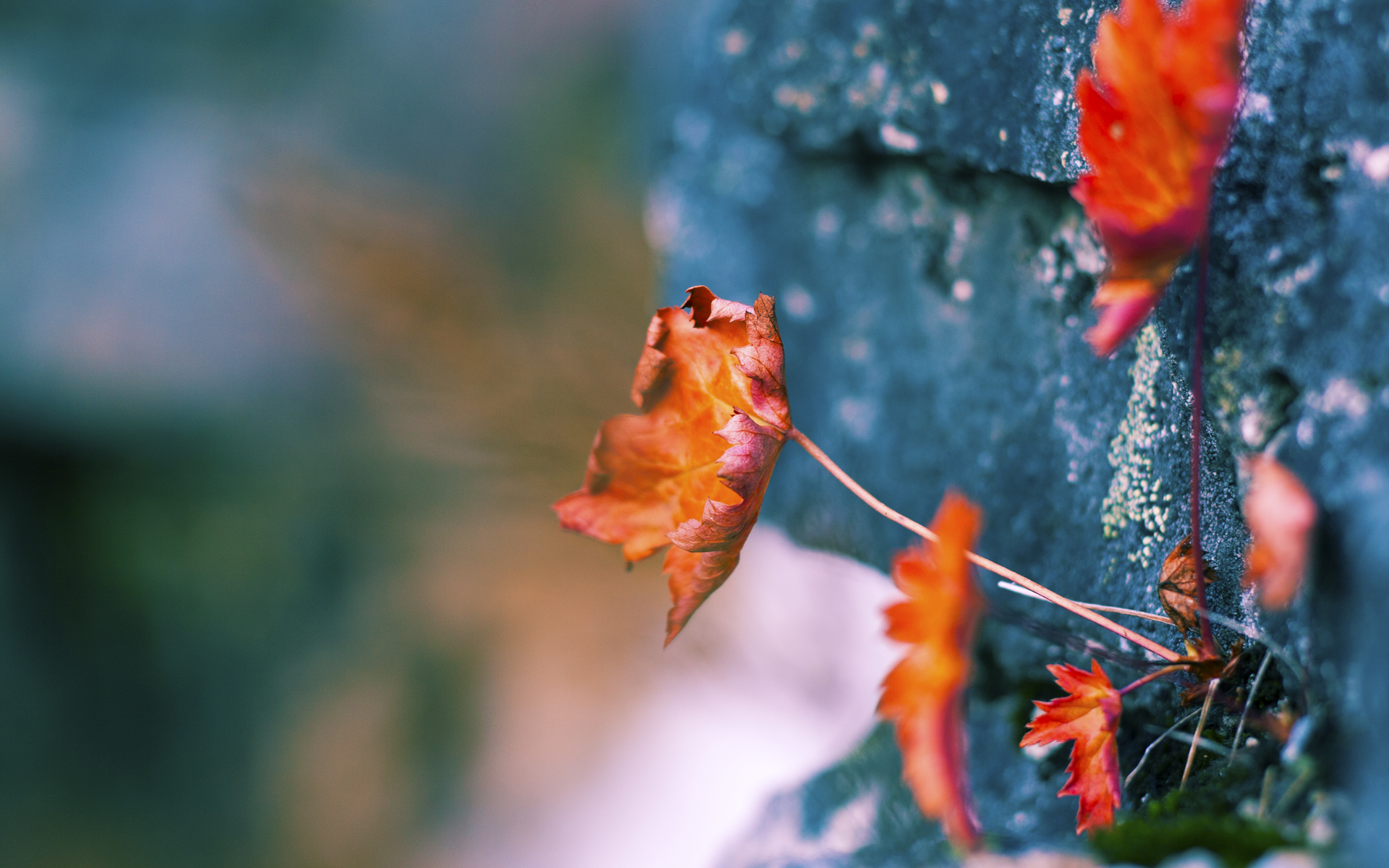 开云体育手机版-王者荣耀新英雄上线带来战术格局大变，王者荣耀新英雄战士叫什么