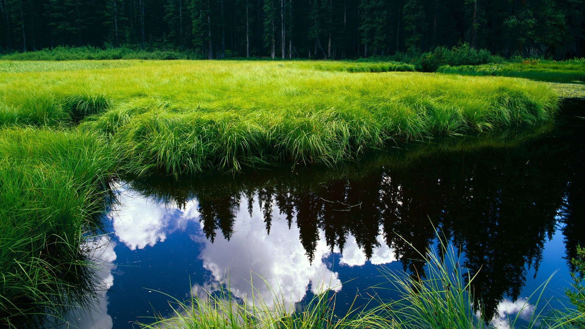 开云体育入口-国际裁判培训全面数字化，执法水平再创新高，国际裁判协会