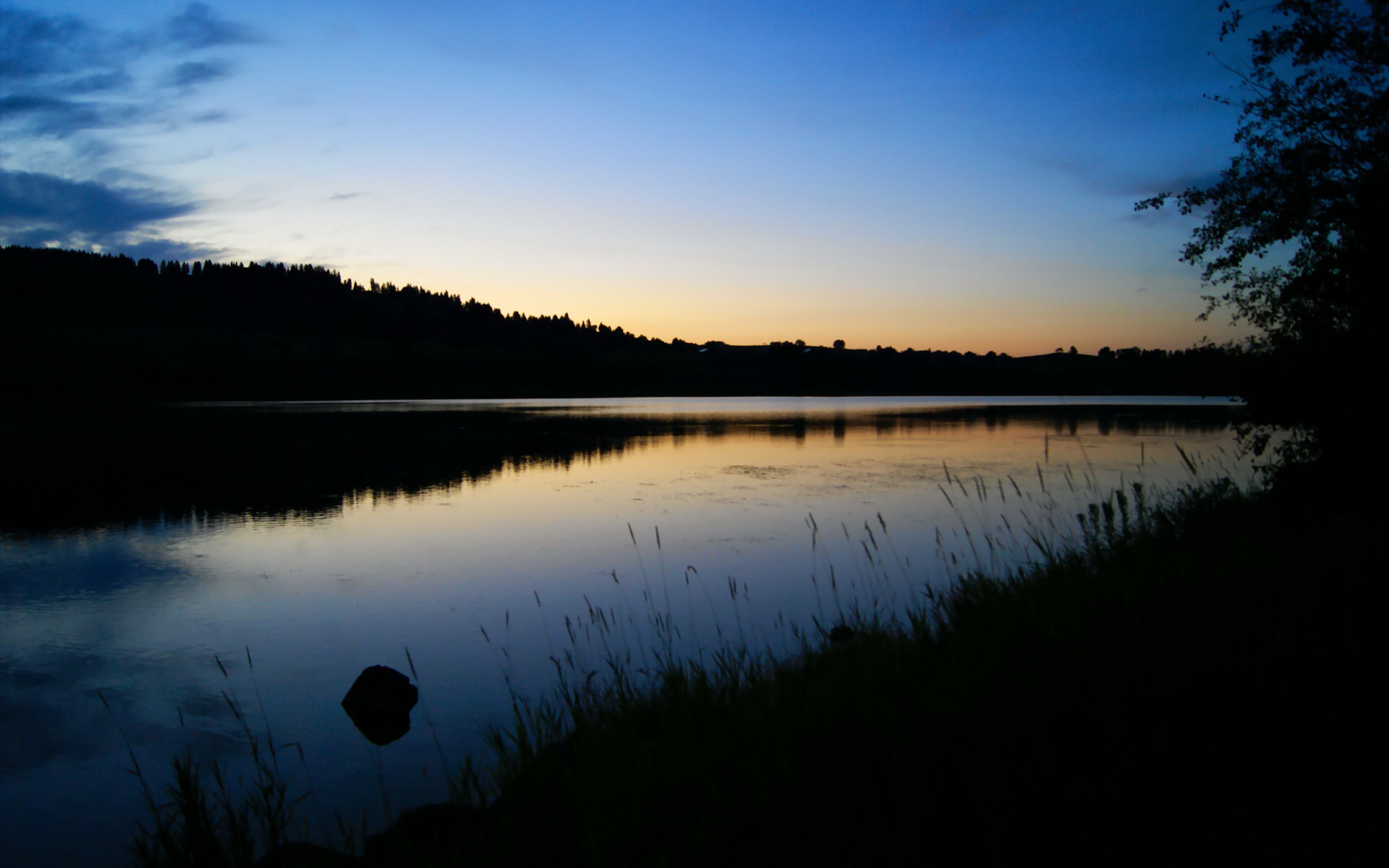 女子篮球职业队推动双语战术系统方便引援沟通,女子篮球队英文怎么说