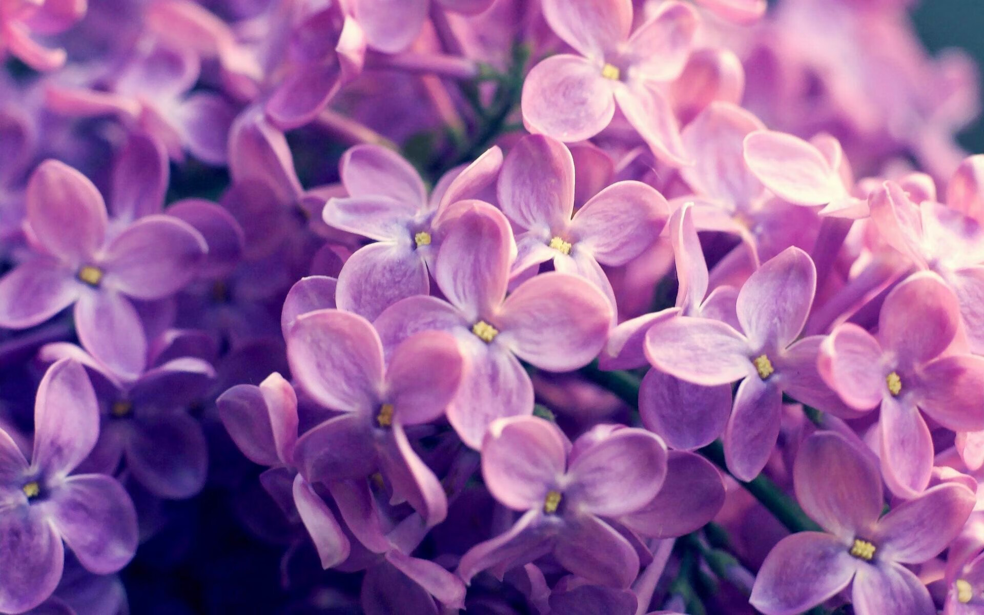 斯滕伯根技术动作精准流畅,斯滕伯格作品