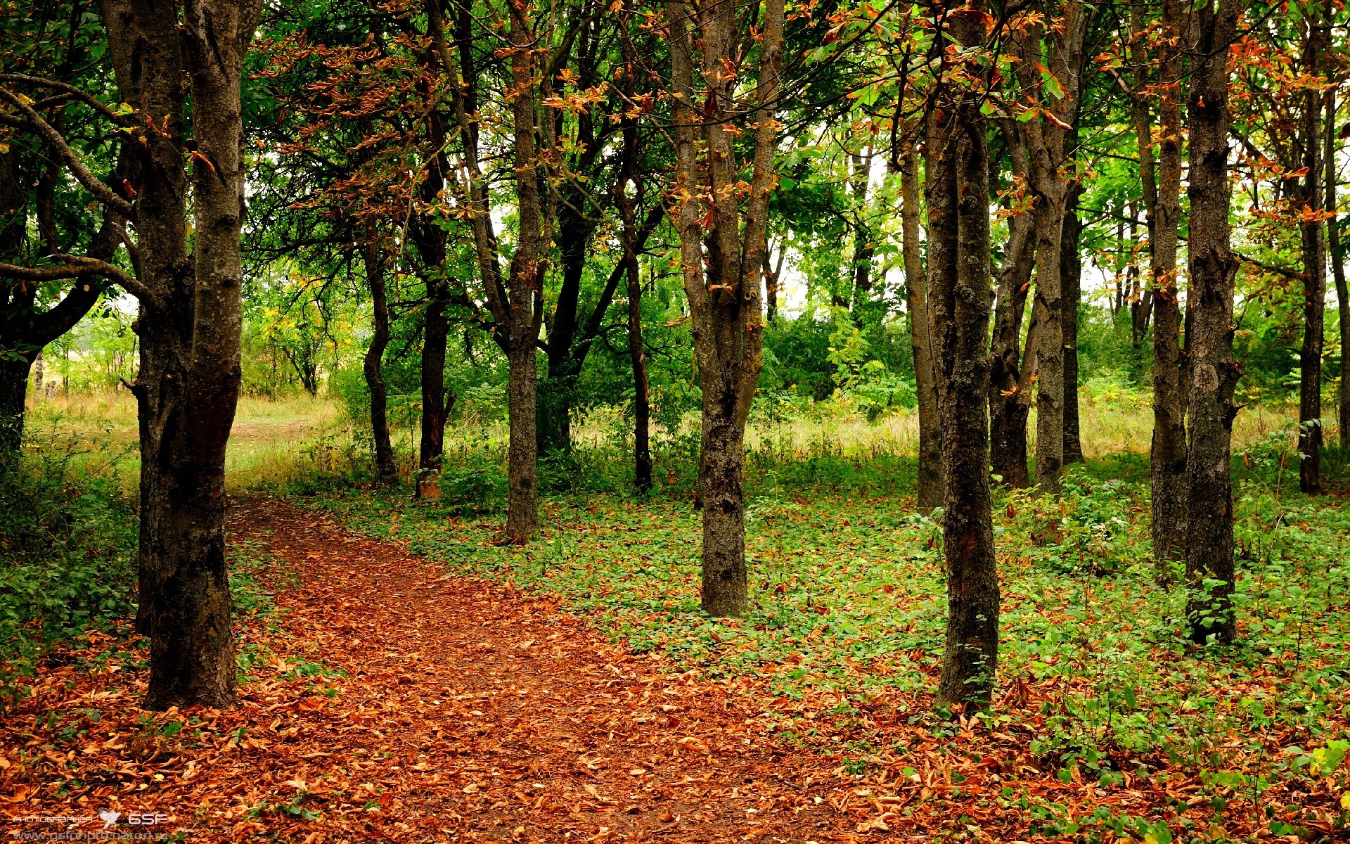 开云在线-比赛节奏掌控精准，抗压能力突出，比赛环节名称大全